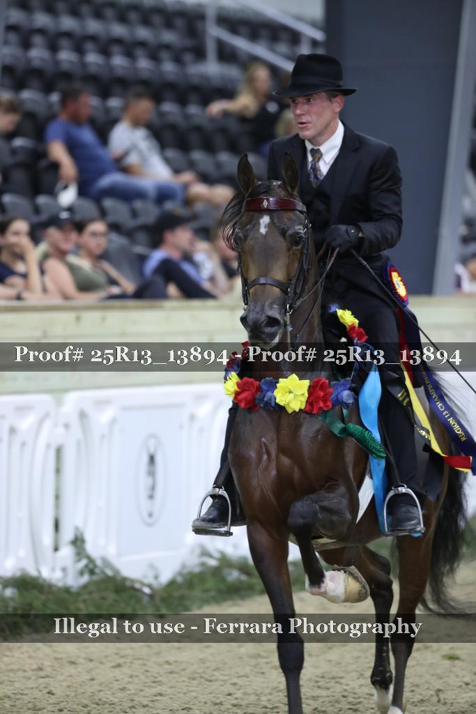Proof 25R13_13894