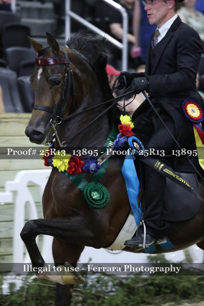 Proof 25R13_13895