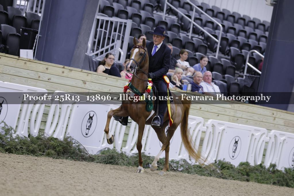 Proof 25R13_13896