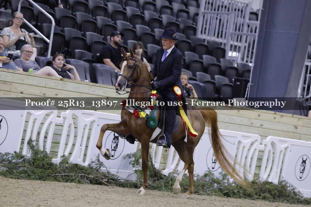 Proof 25R13_13897