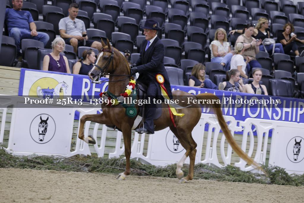 Proof 25R13_13899