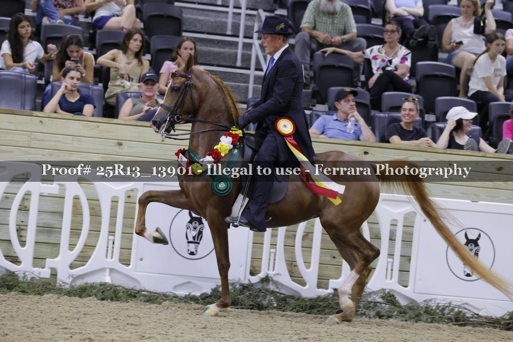 Proof 25R13_13901