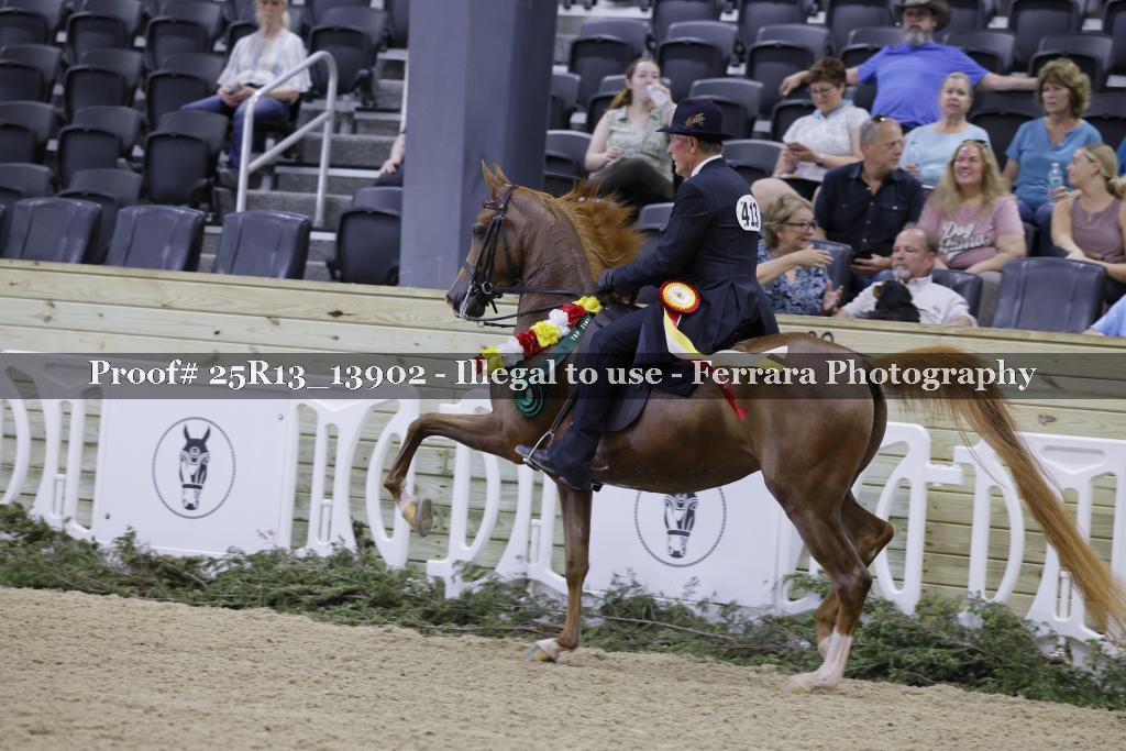 Proof 25R13_13902