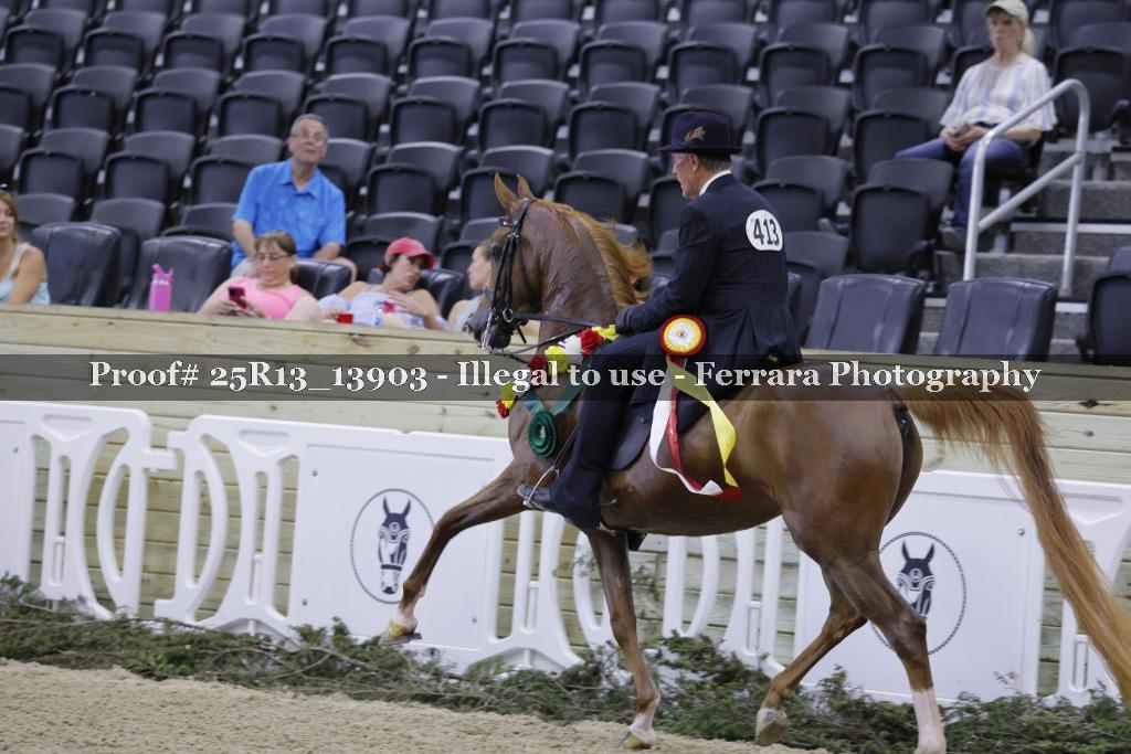 Proof 25R13_13903
