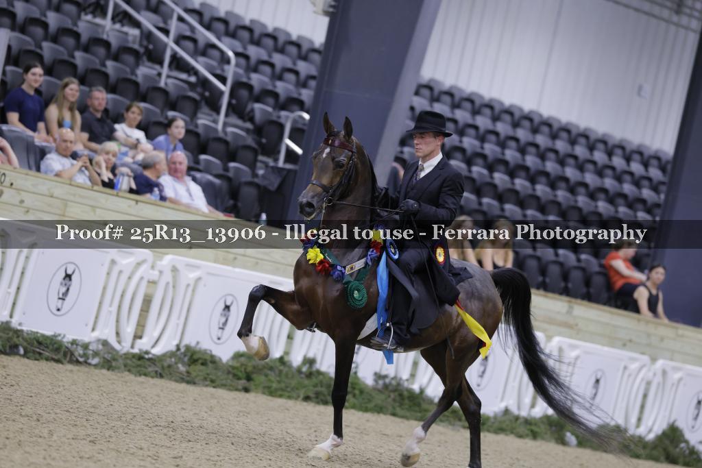 Proof 25R13_13906
