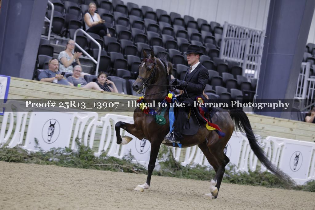 Proof 25R13_13907