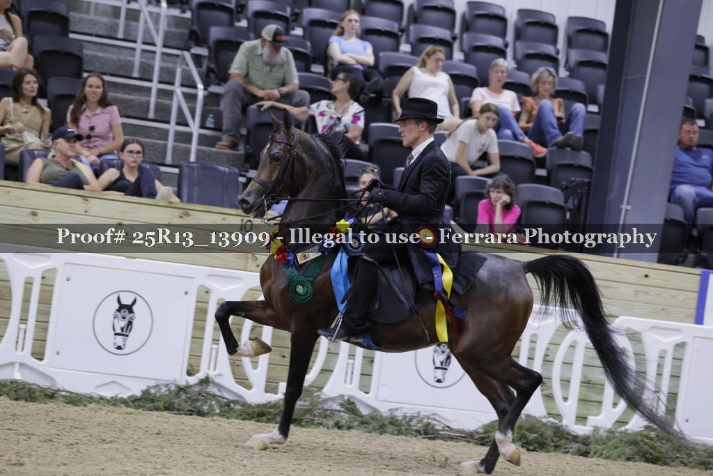 Proof 25R13_13909