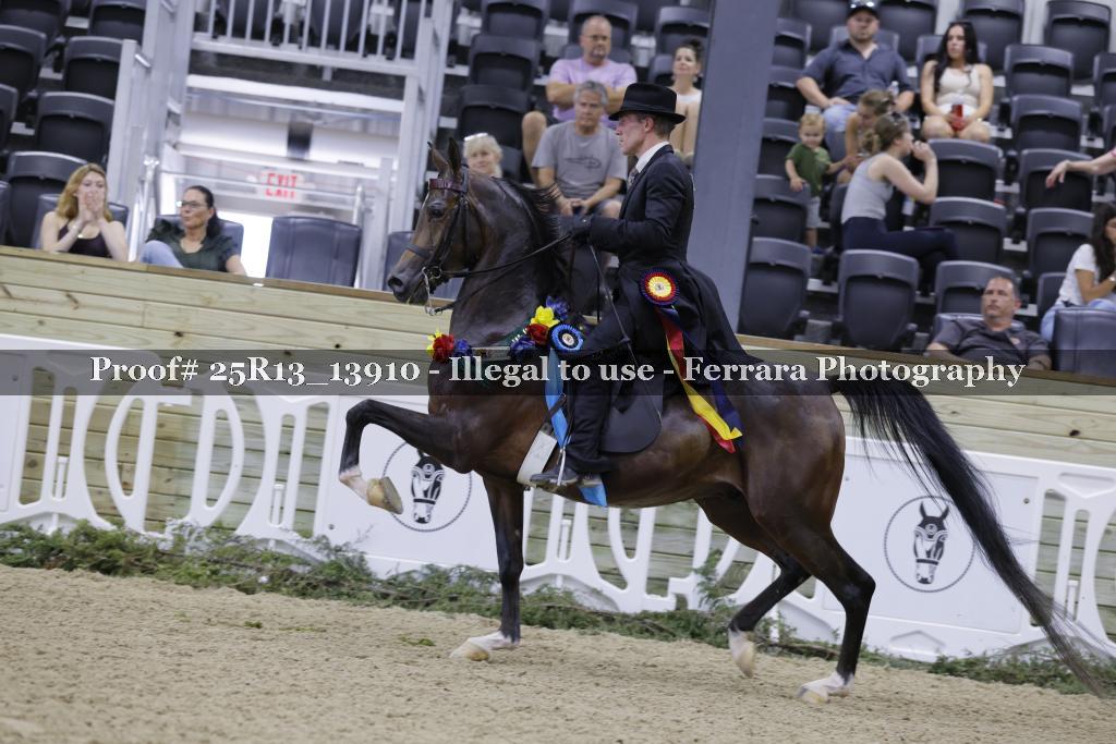 Proof 25R13_13910