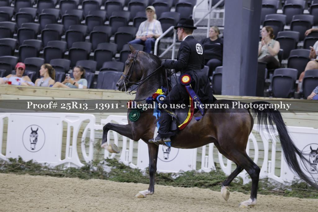 Proof 25R13_13911