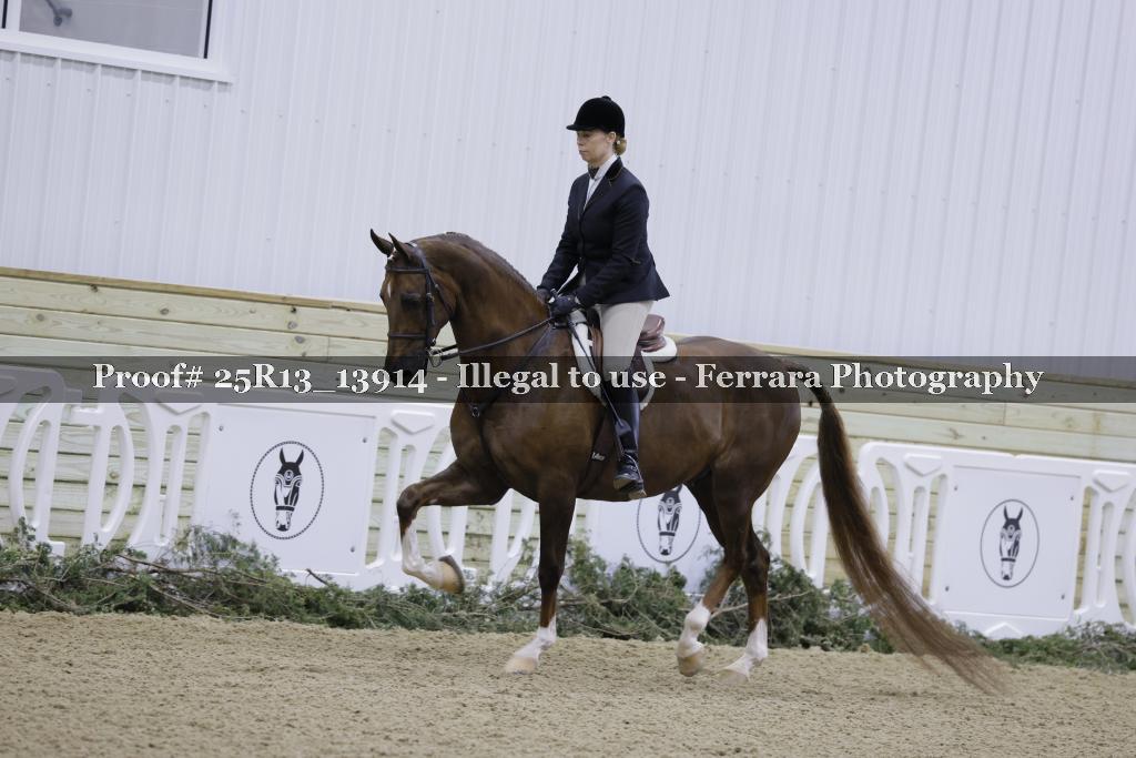 Proof 25R13_13914