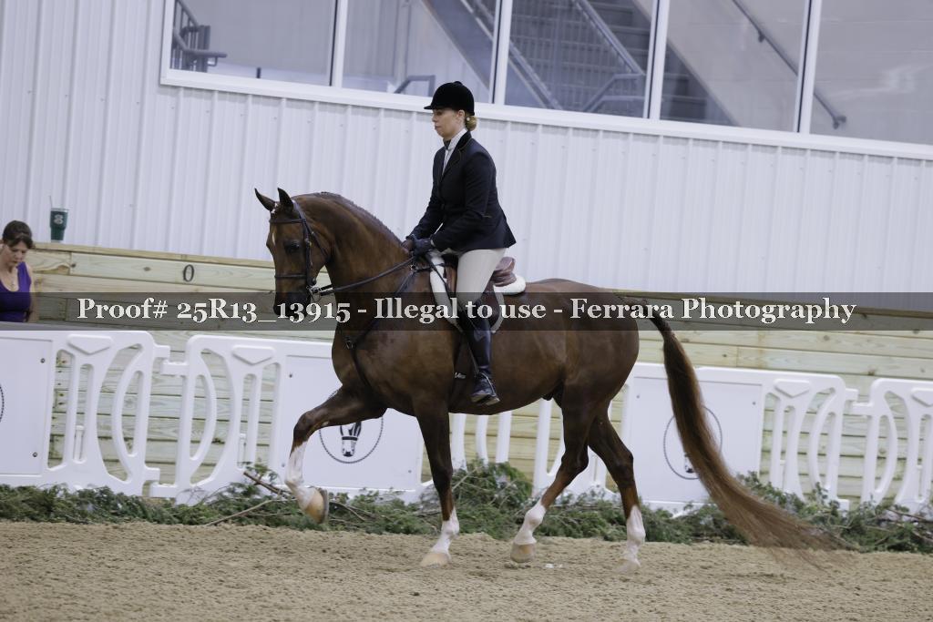 Proof 25R13_13915