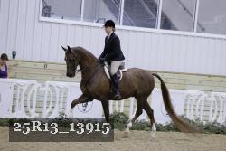 25R13_13915 proof