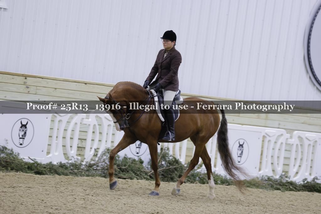 Proof 25R13_13916