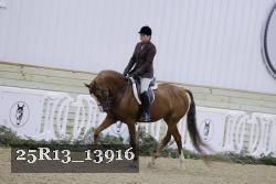 25R13_13916 proof