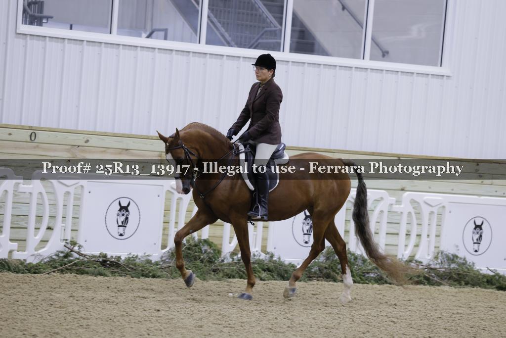Proof 25R13_13917