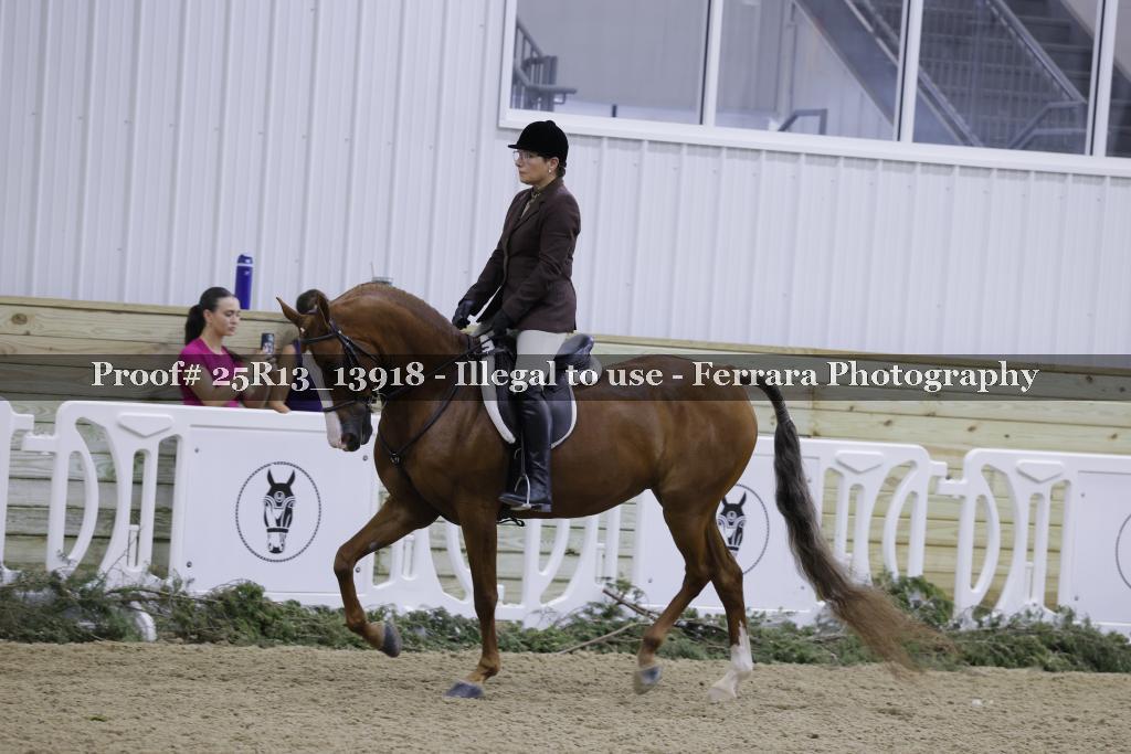 Proof 25R13_13918