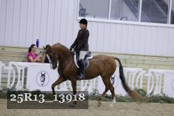 25R13_13918 proof
