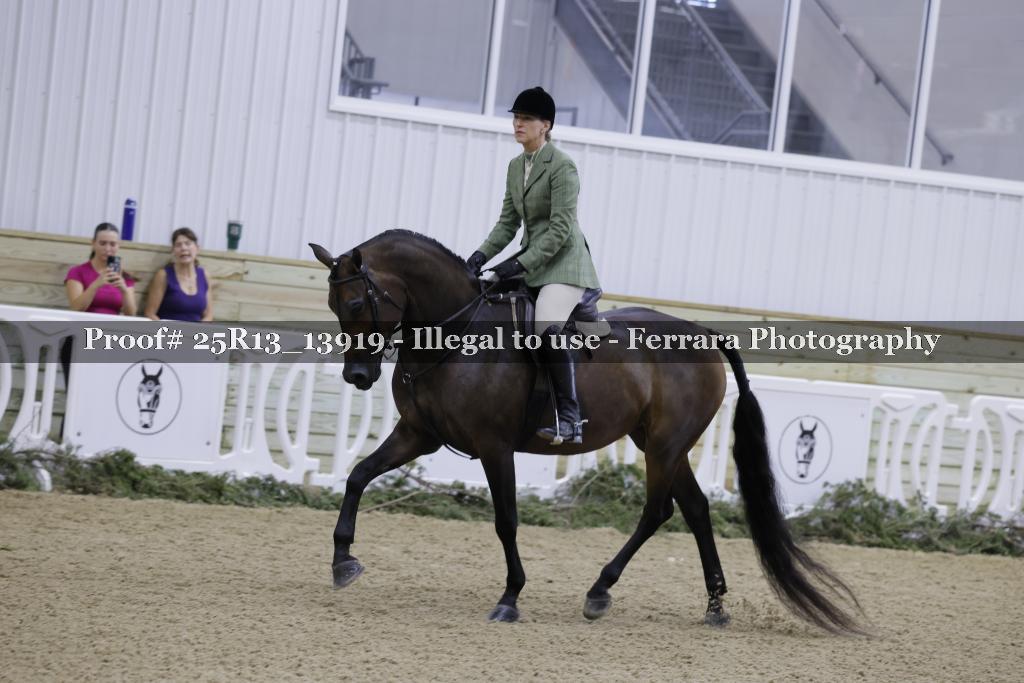 Proof 25R13_13919
