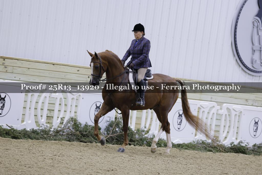 Proof 25R13_13920