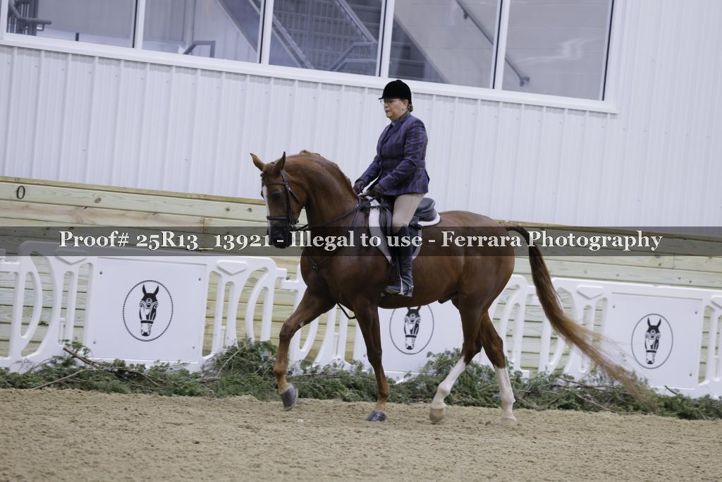 Proof 25R13_13921