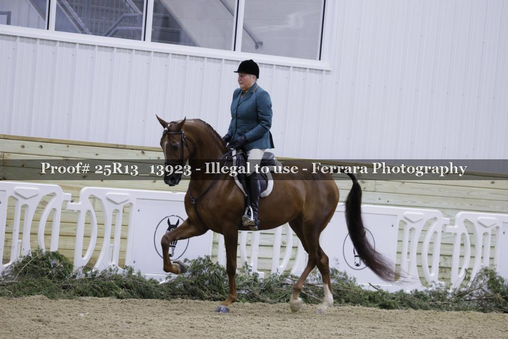 Proof 25R13_13923