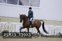25R13_13923 proof