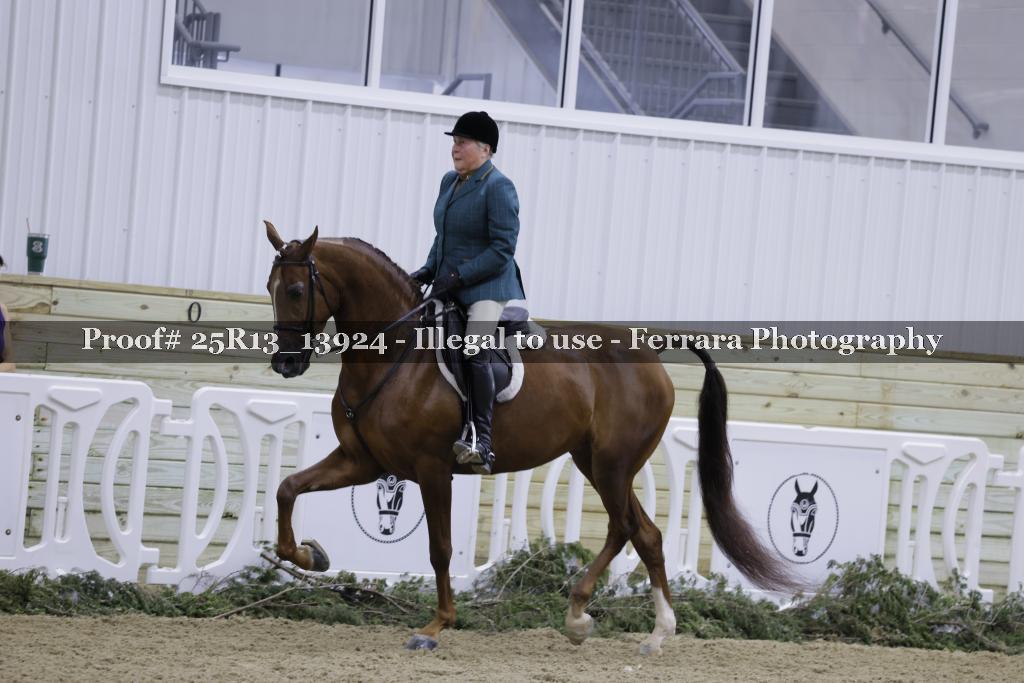 Proof 25R13_13924