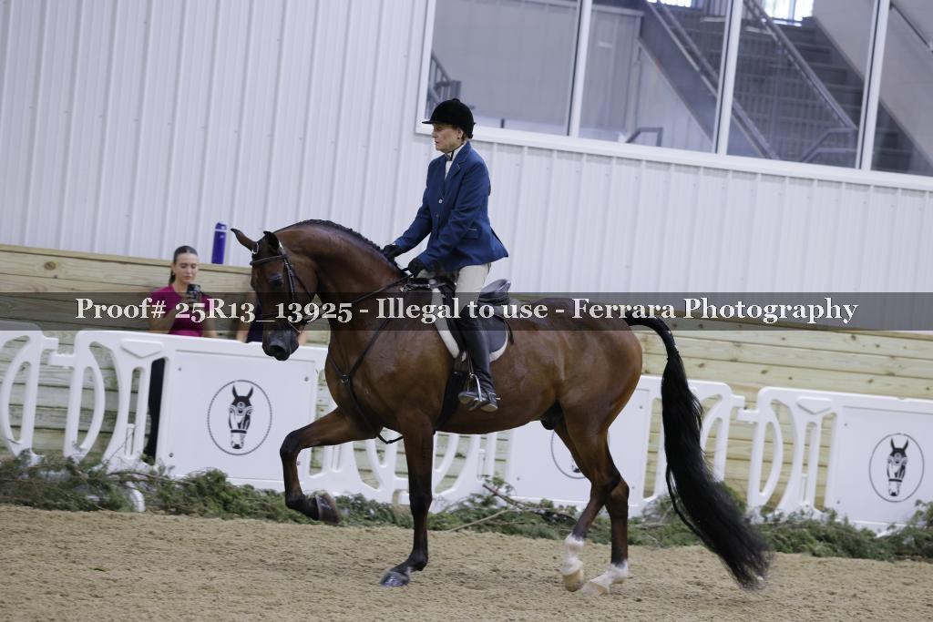 Proof 25R13_13925