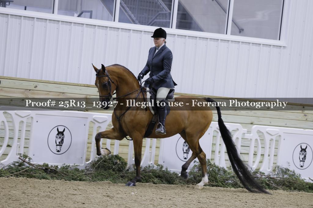 Proof 25R13_13927