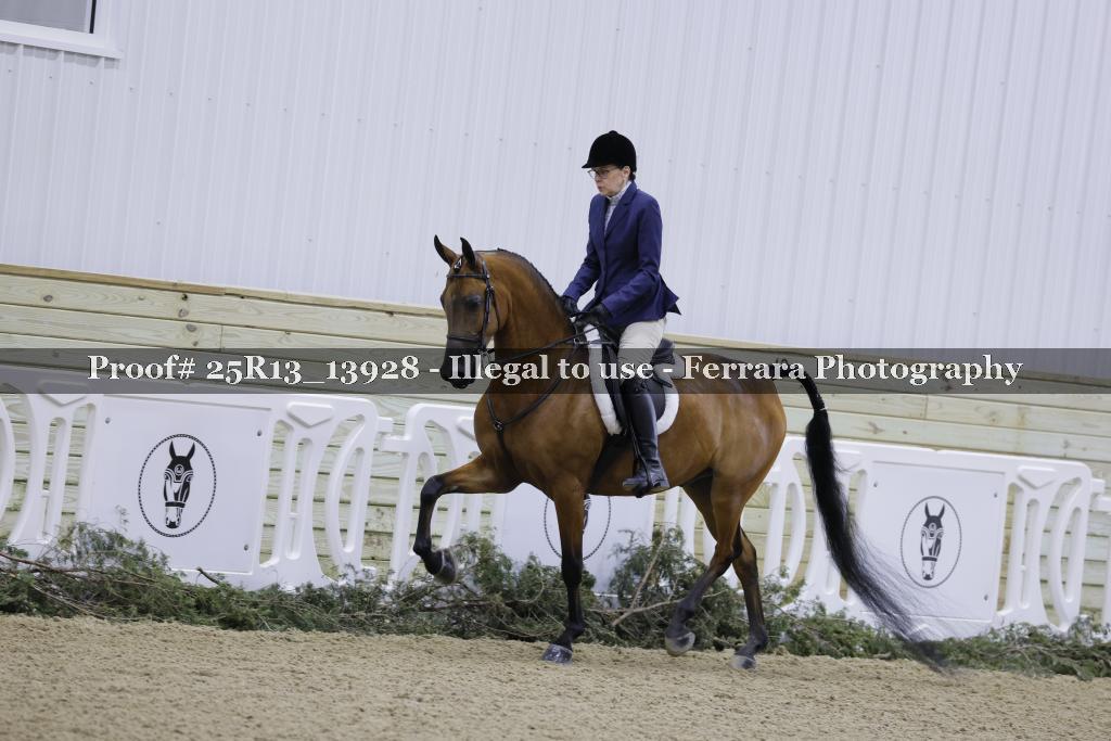 Proof 25R13_13928