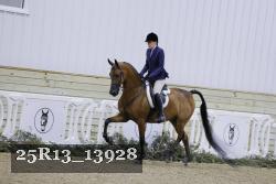 25R13_13928 proof