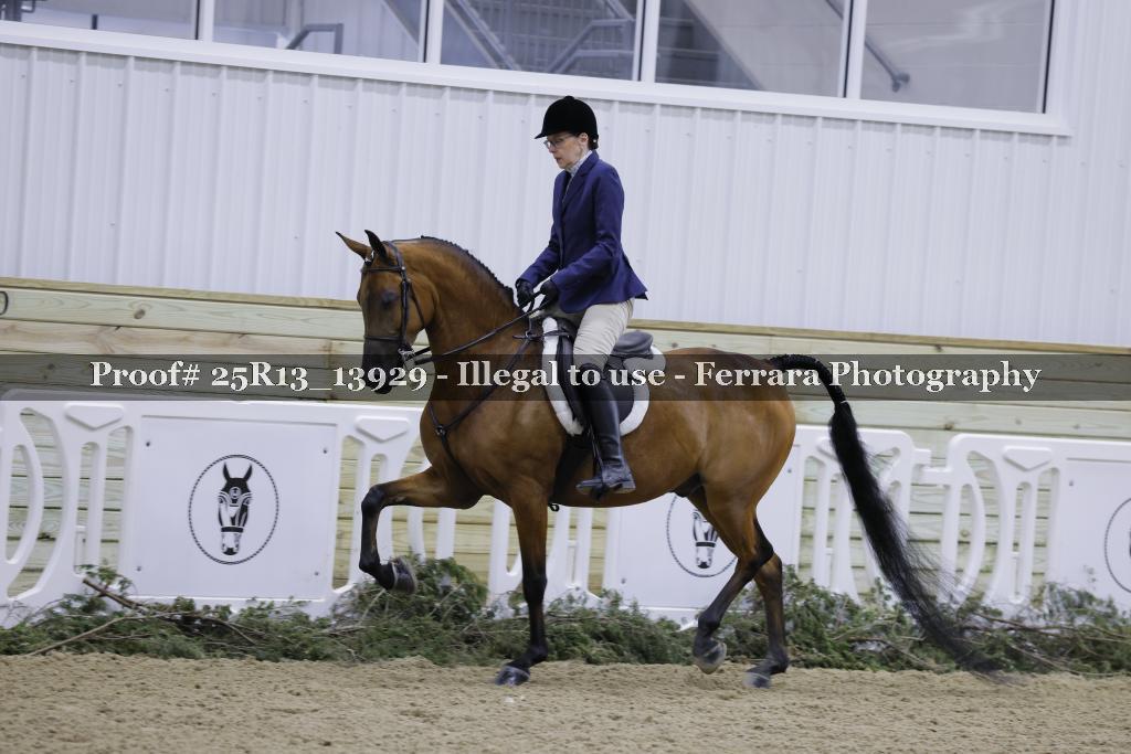 Proof 25R13_13929