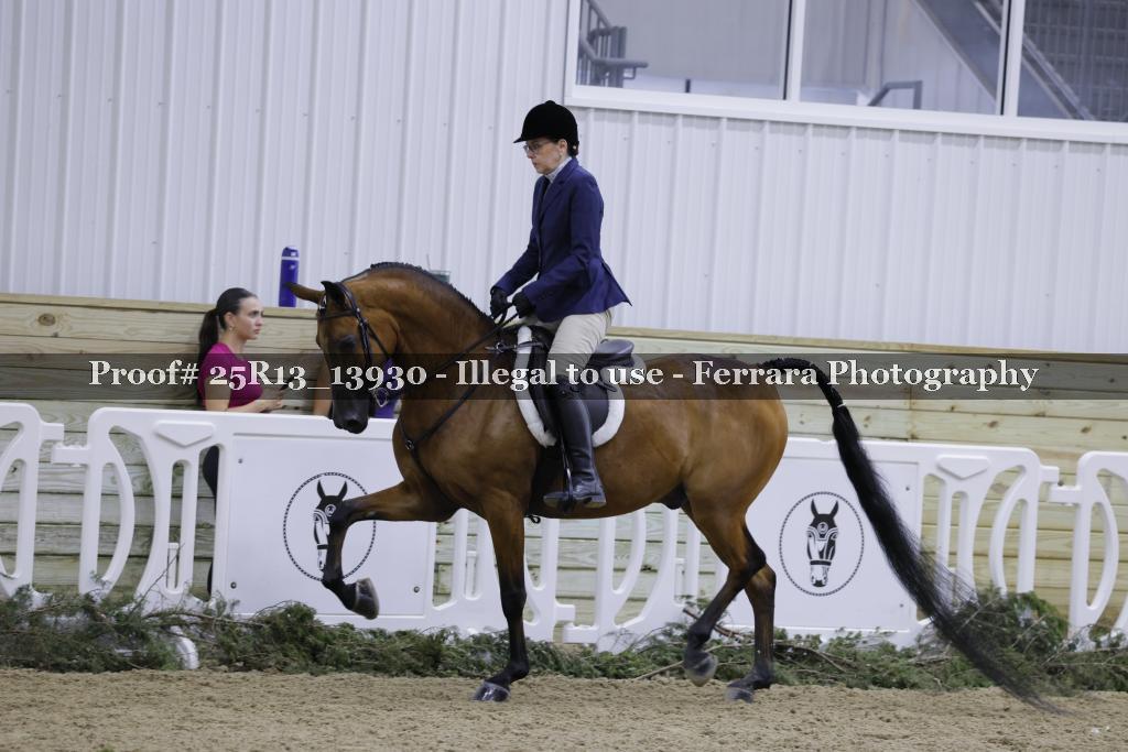 Proof 25R13_13930