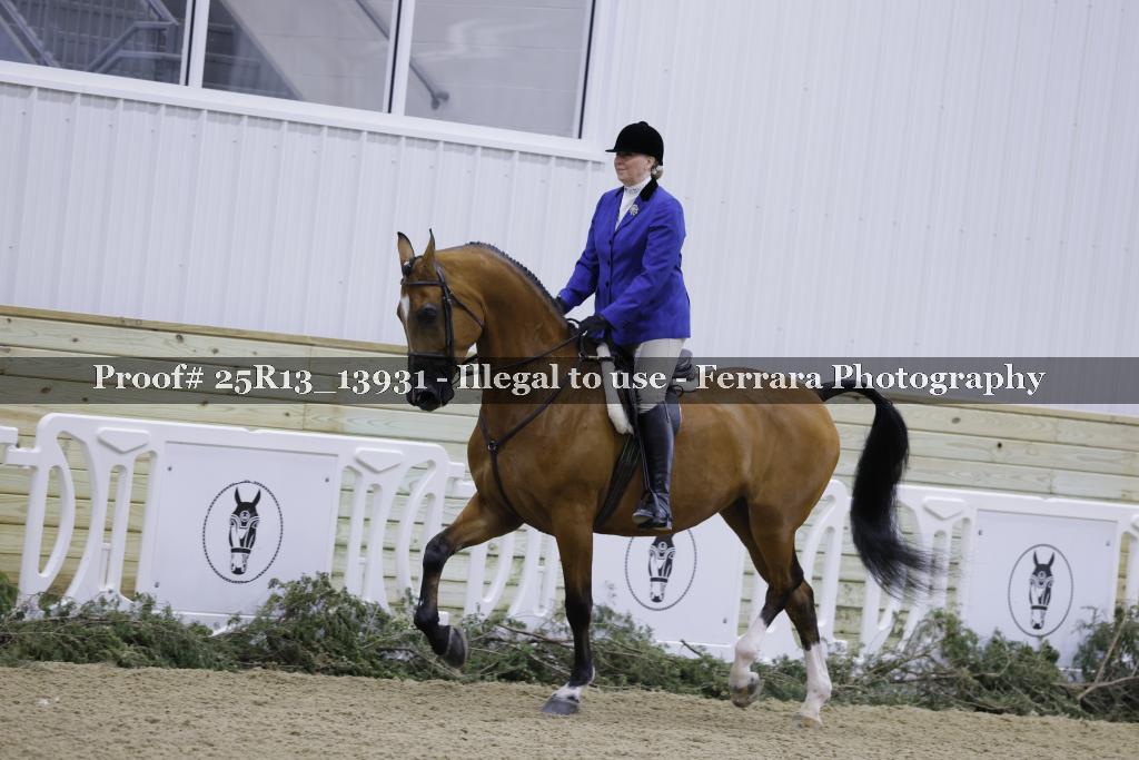 Proof 25R13_13931