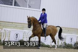 25R13_13931 proof