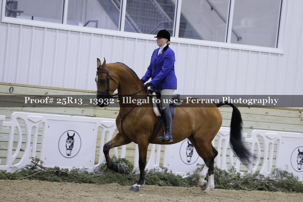 Proof 25R13_13932