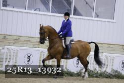 25R13_13932 proof