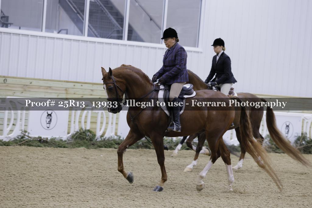 Proof 25R13_13933