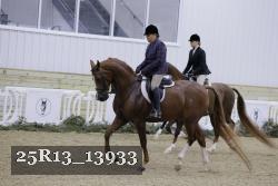 25R13_13933 proof