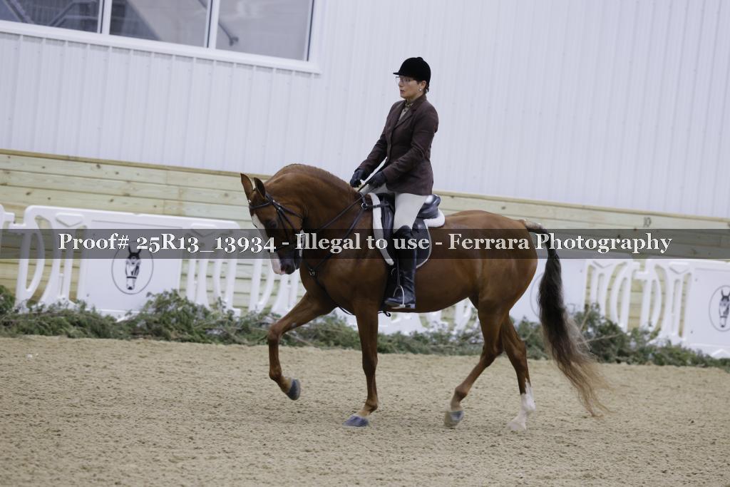 Proof 25R13_13934