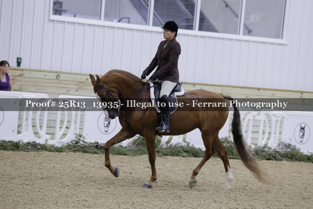 Proof 25R13_13935