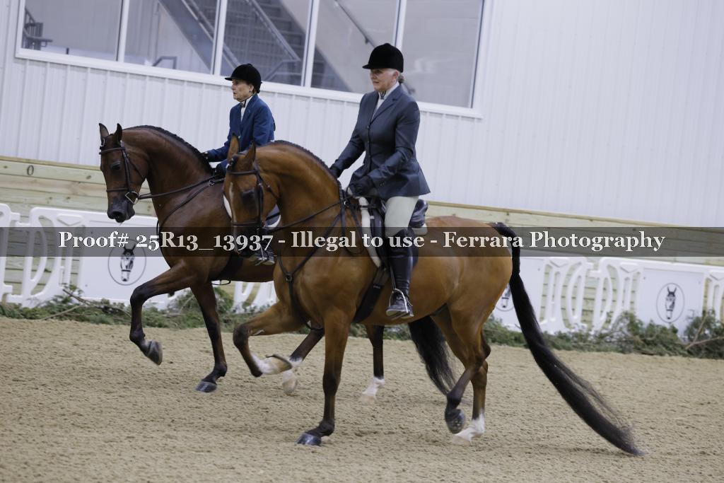 Proof 25R13_13937