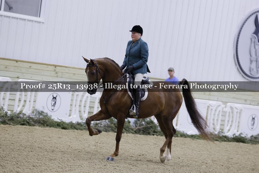 Proof 25R13_13938