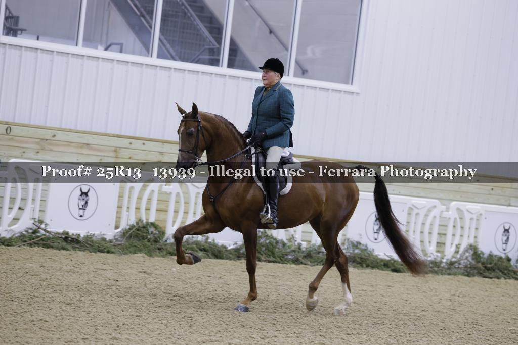 Proof 25R13_13939