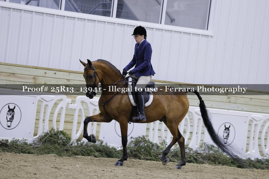 Proof 25R13_13941