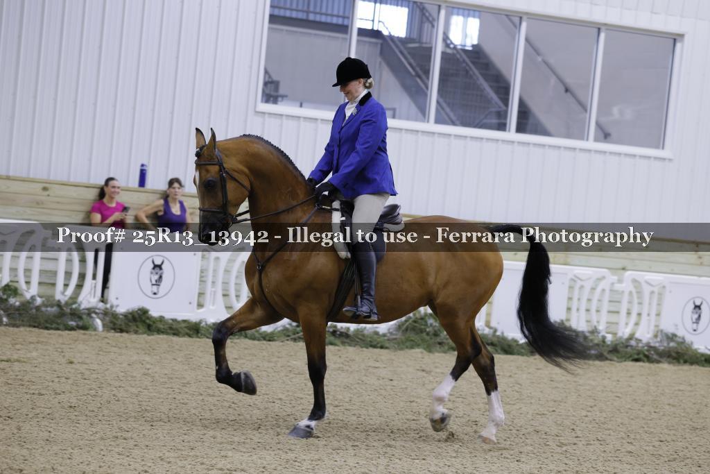 Proof 25R13_13942