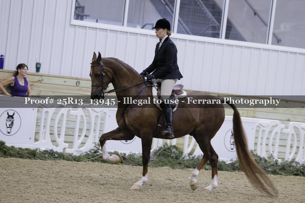 Proof 25R13_13945