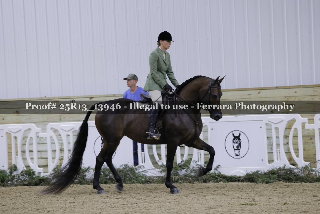 Proof 25R13_13946