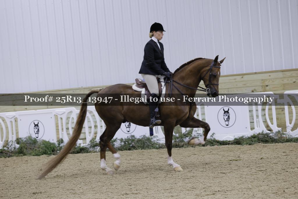 Proof 25R13_13947