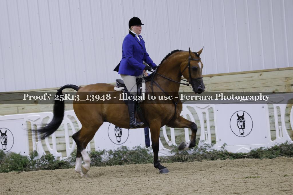 Proof 25R13_13948